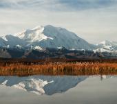 Snow covered mountain with orange and red autumn colors in foreground
