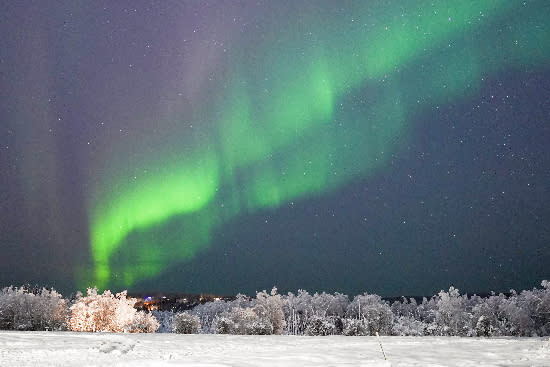 Green bands of aurora over Creamer's Field in Fairbanks, Alaska