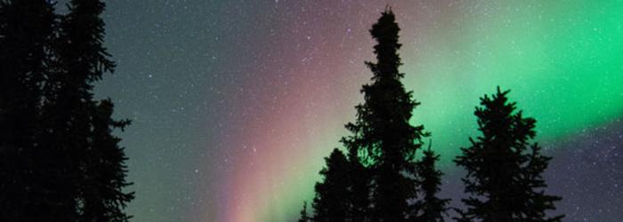 Northern Lights Viewing - Fairbanks ALaska