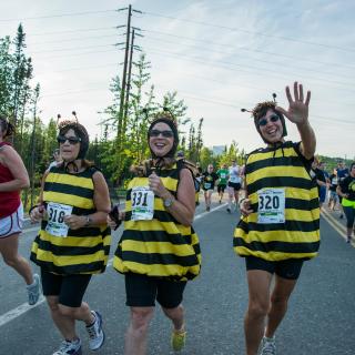 Racers running in the Midnight Sun Run 10k. Three racers in foreground are dressed in black and yellow stripped "bee" costumes.