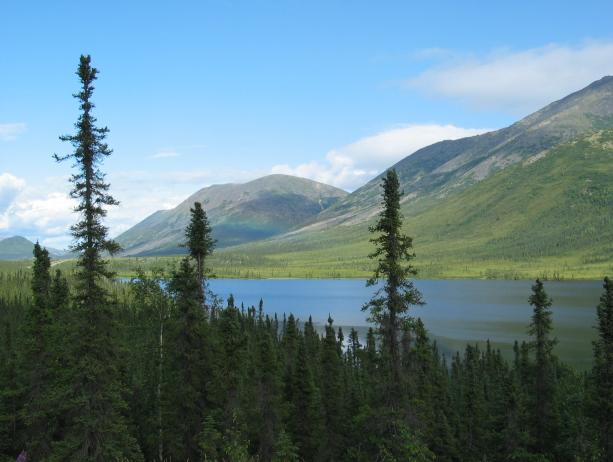 Coldfoot -  Latitude 67}