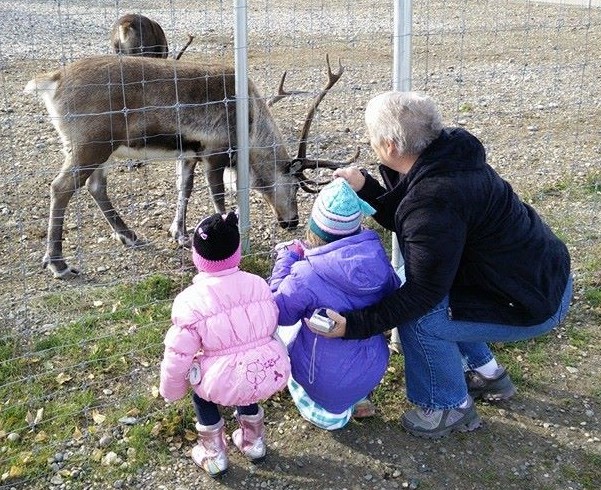 Children and grandparent looking at reindeer