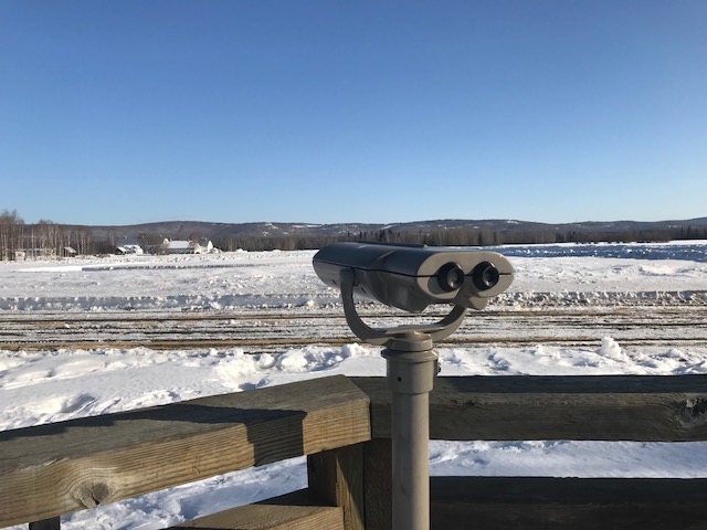 Waiting for Birds at Creamer's Field - Fairbanks Alaska