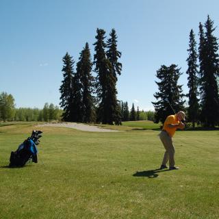 Golfer teeing off on a sunny day at a forested golf course in Fairbanks, Alaska, with tall spruce trees and a golf bag nearby.
