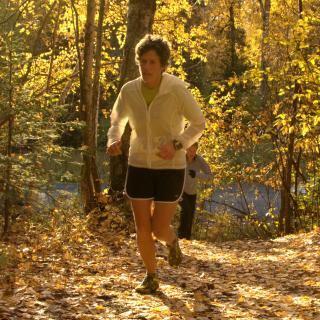 Runner jogging through the forest during autumn. Ground is littered with fallen leaves, and trees are golden-yellow.