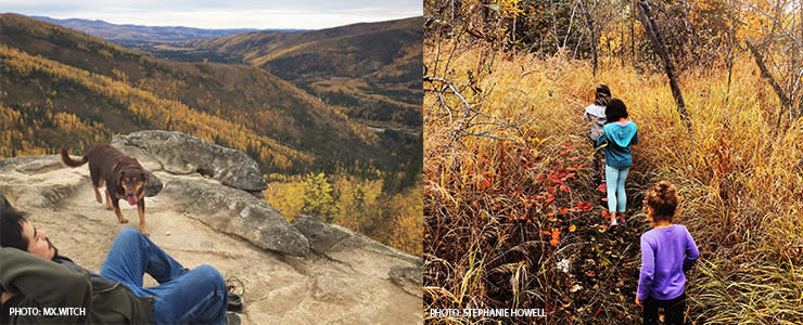 Fall Hiking and geochaching In Fairbanks Alaska