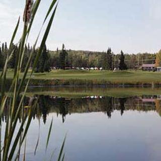 A still lake with cattail plants in foreground and green field and trees in background