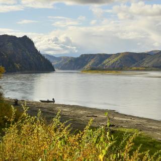 Wide angle view of the Yukon River in the Yukon-Charley Rivers National Preserve