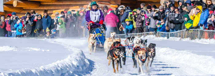 Roxy Wright Open North Dog Sled 