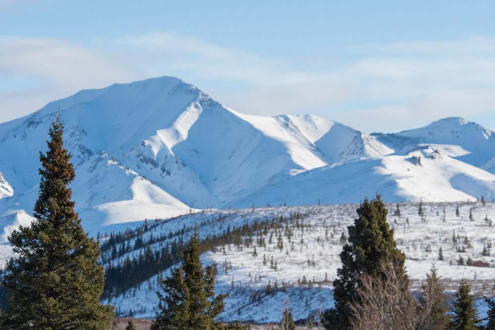 Winter landscape with mountains and trees in Denali National Park