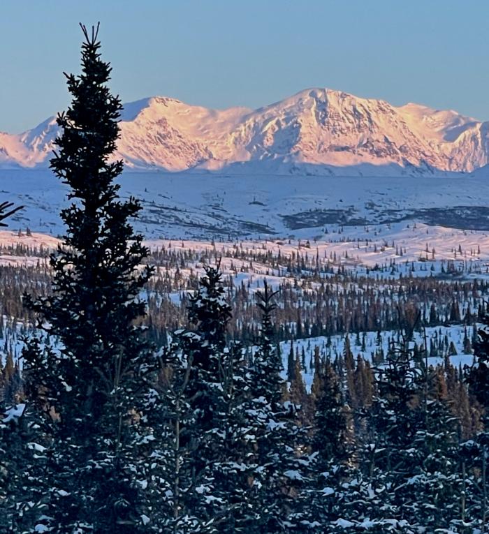 Mountains with Trees in Eastern Alaska Range